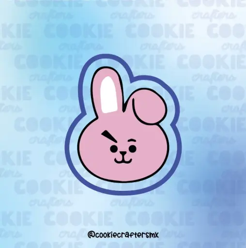 Cooky BTS