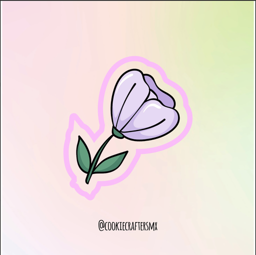 Flor Primavera 