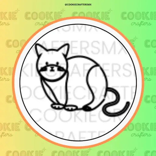 Gato