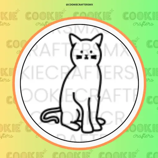 Gato 1