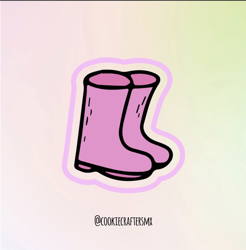 Botas de lluvia