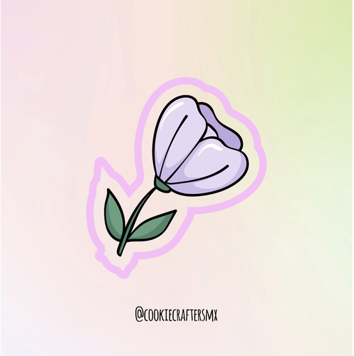 Flor Primavera 2